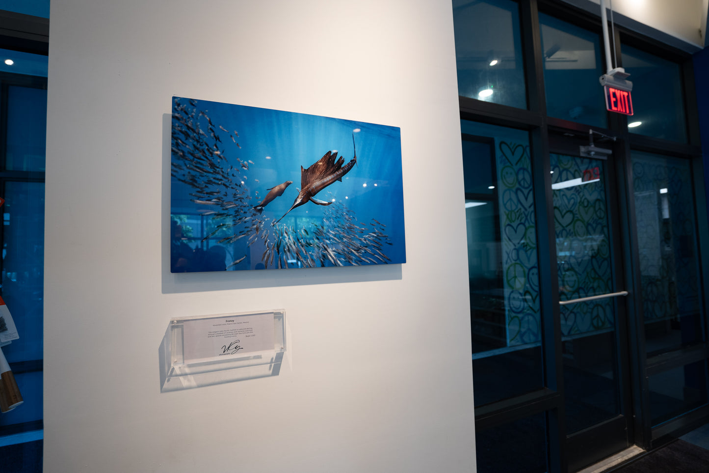 Sailfish Print Wall Art Photography by Valentina Kochian