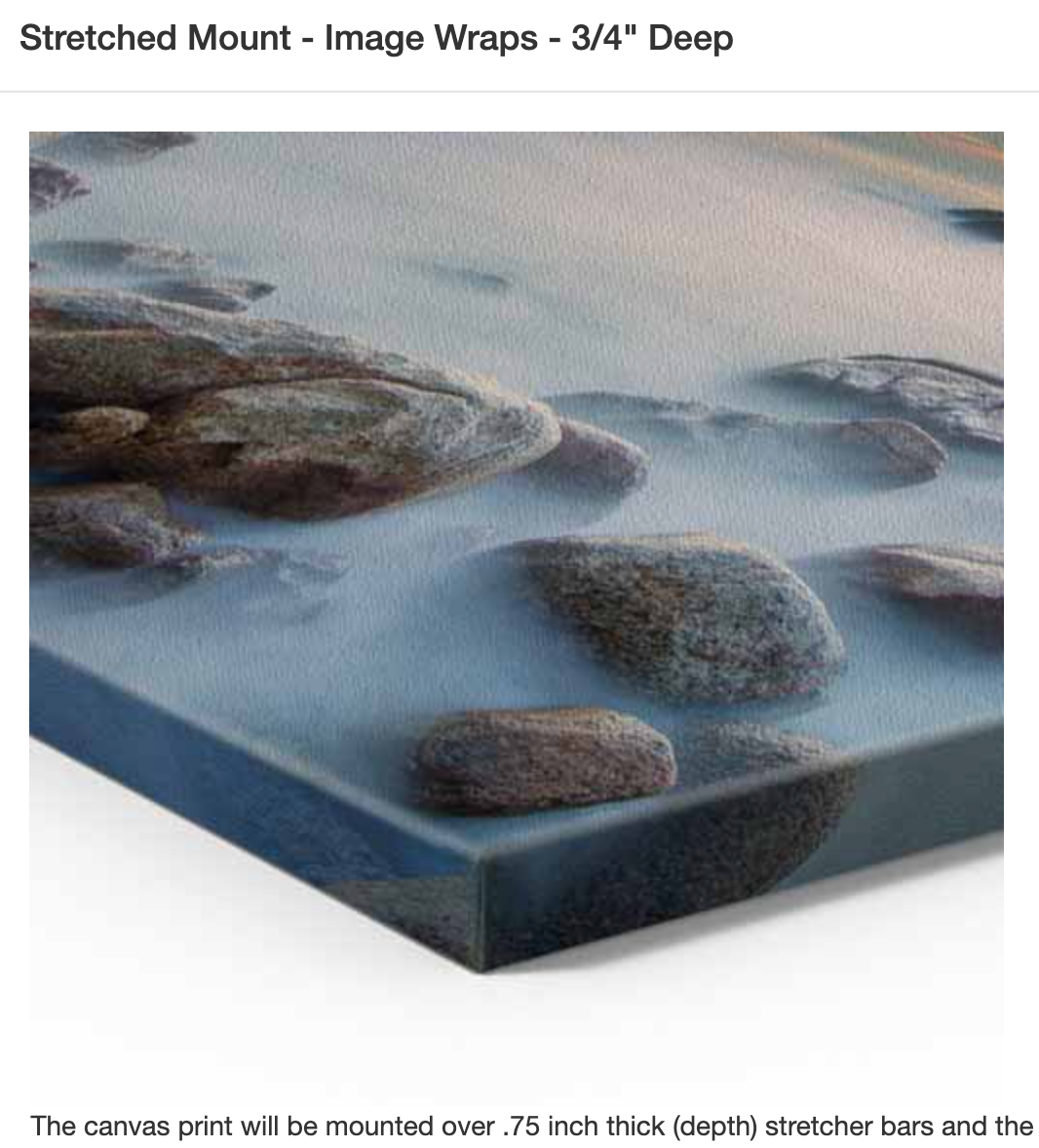 Anticipation | Striped Marlin Print