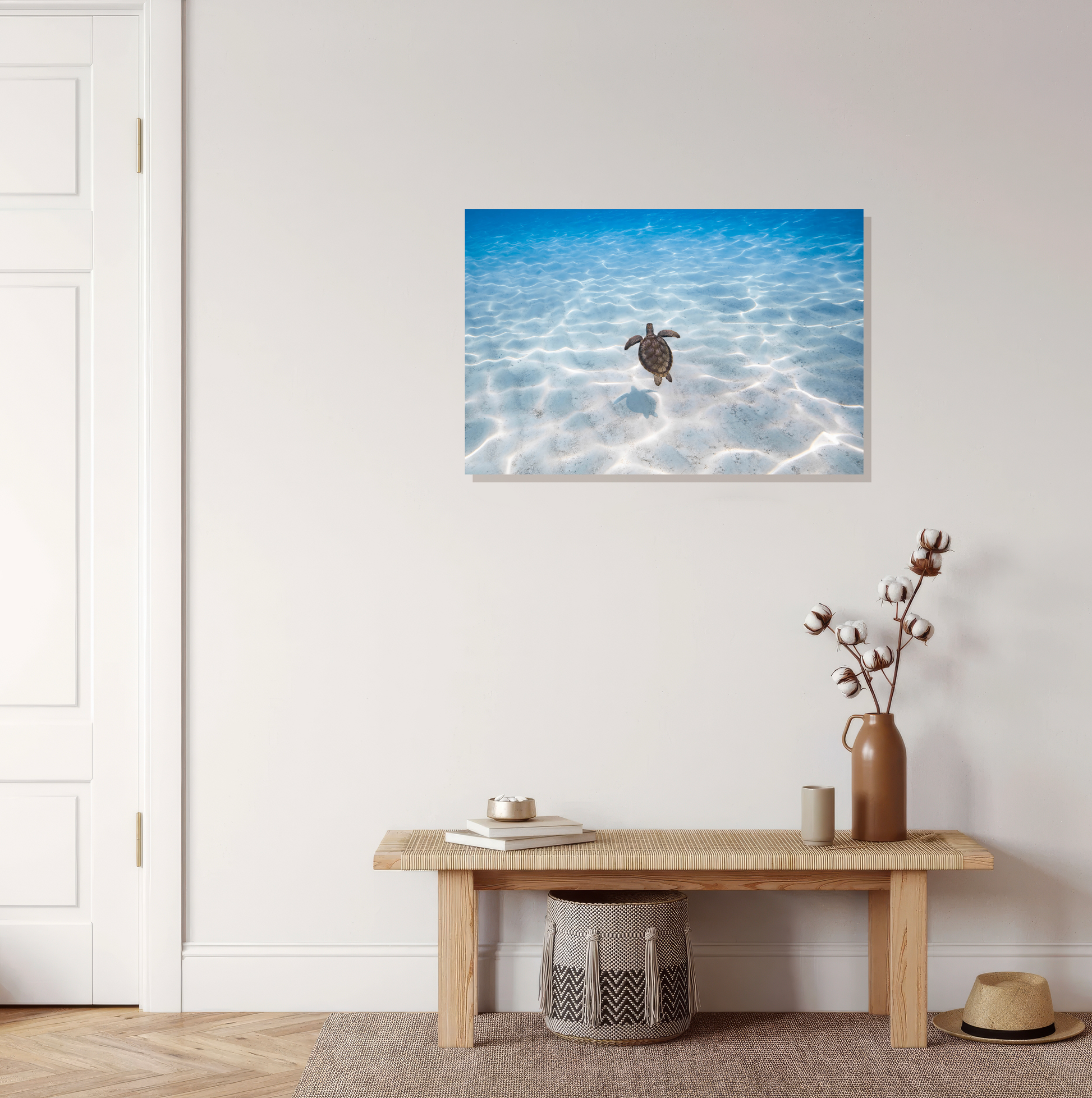 Sea Turtle Photography Wall Art by Valentina Kochian